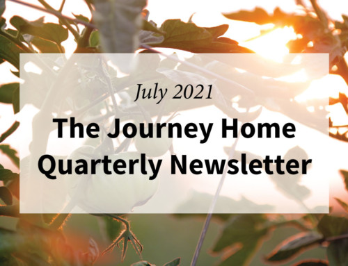 July 2021 Quarterly Newsletter